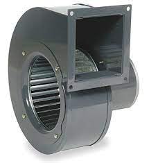 Dayton Leaf Blower 1TDT2