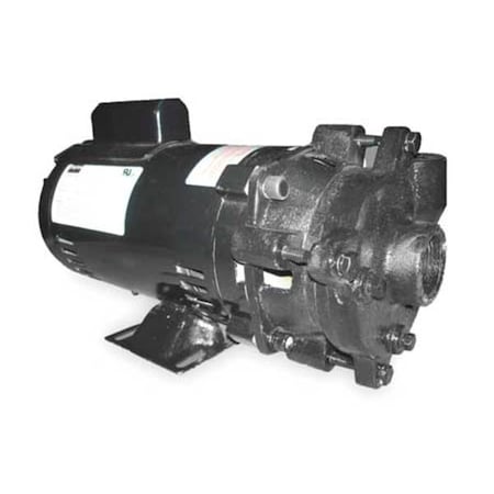 Dayton Pump 2ZWP3 - product photo 1