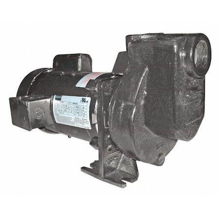 Dayton Pump 5WXU4 - product photo 1