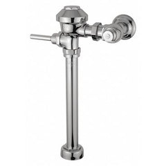 Zurn Flush Valve Z6000-1-YB-YC - product photo 1