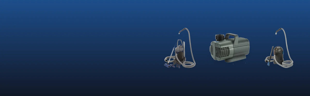 Oase products in stock