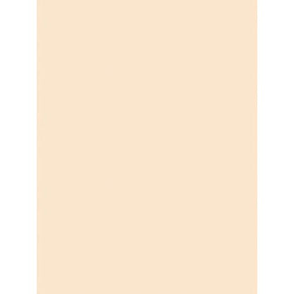 Pacon Paper Product P5181, 9" x 12", 100 Count – view 2
