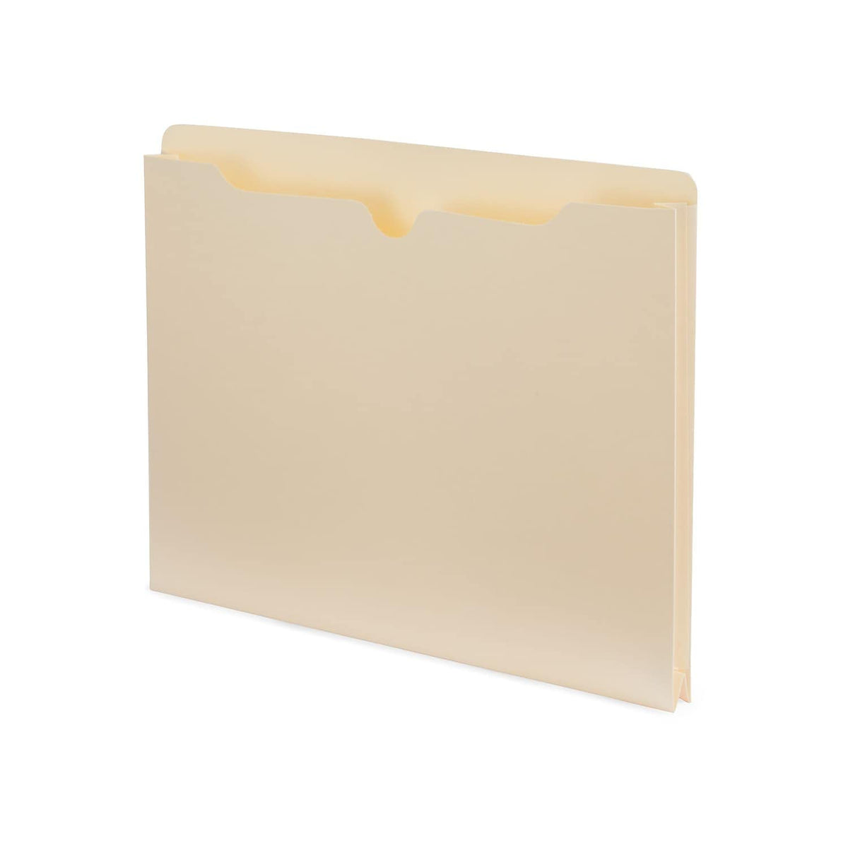 STAPLES Office Products ST541092-CCVS, 100 Count
