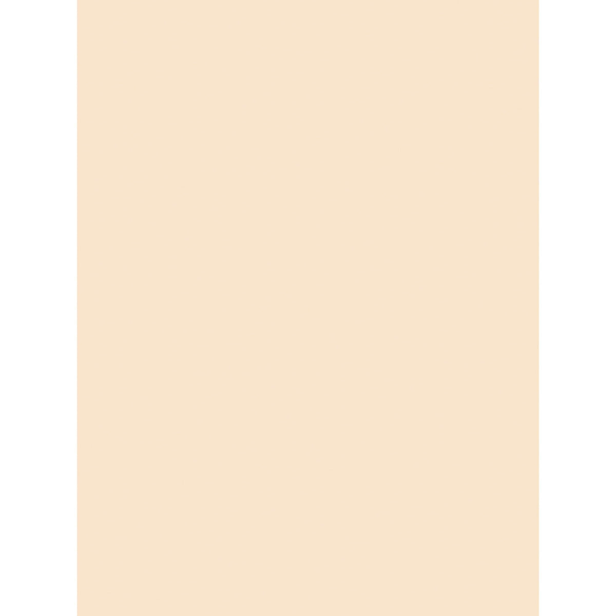 Pacon Paper Product P5181, 9" x 12", 100 Count