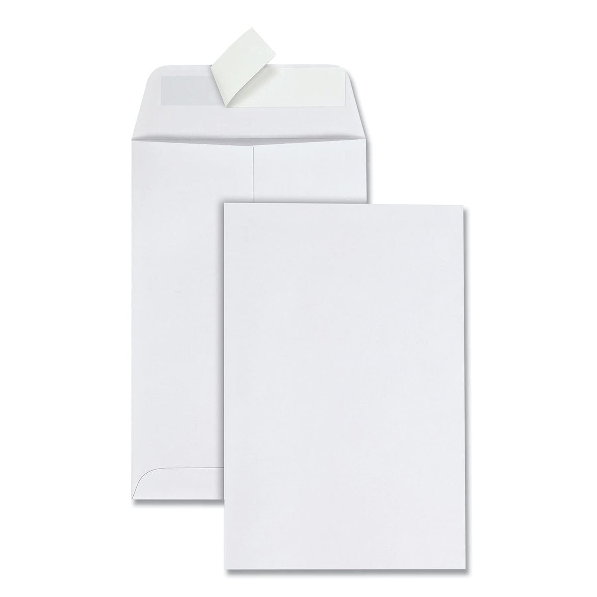 Quality Park Envelope 44182, 6 x 9, 100 Count