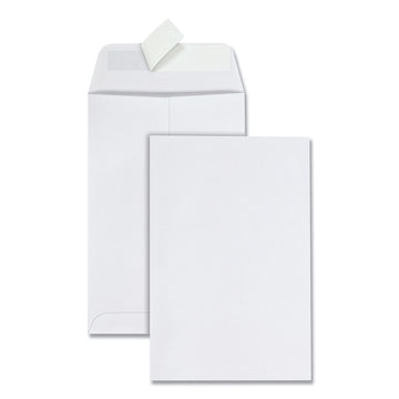 Quality Park Envelope 44182, 6 x 9, 100 Count