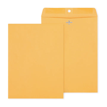 Staples Envelope ST487493-CC, 9'' x 12'', 250 Count