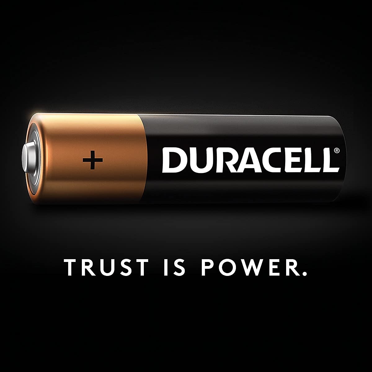 DURACELL Battery DURMN2400B16Z, 16 Count – view 6