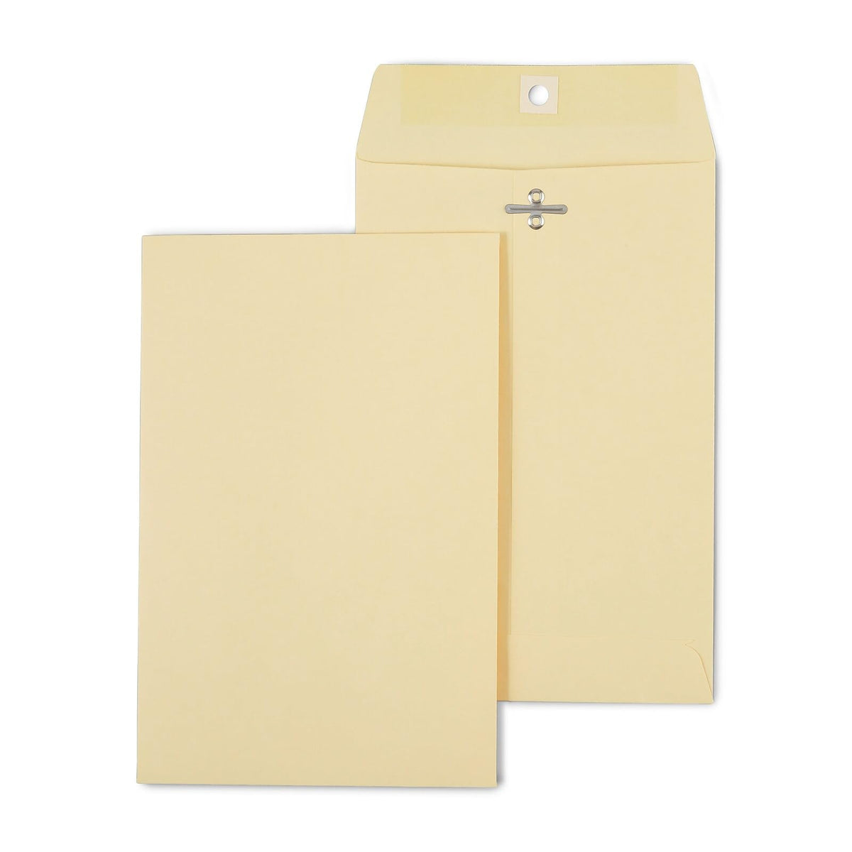 Staples Envelope ST918765-CC, 6'' x 9'', 100 Count