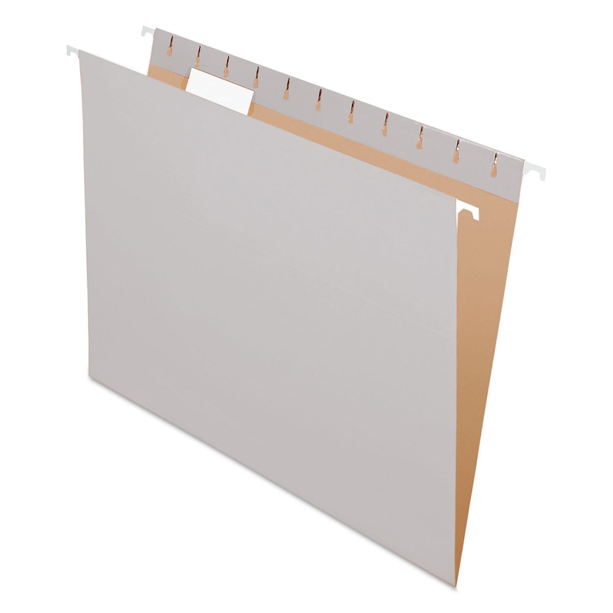 Pendaflex File Folder 81604, Letter, 25 Count