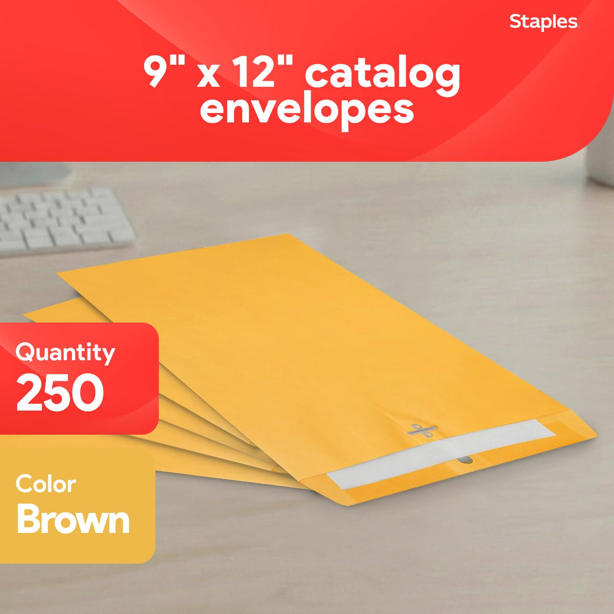 Staples Envelope ST487493-CC, 9'' x 12'', 250 Count – view 2