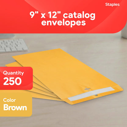 Staples Envelope ST487493-CC, 9'' x 12'', 250 Count – view 2