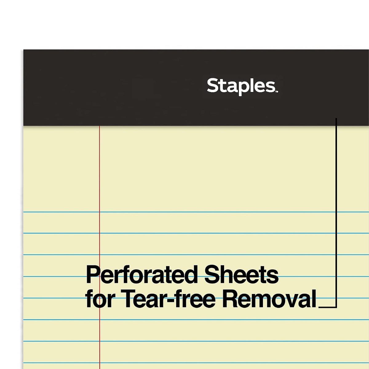Staples Blank Book 26829, 600 Count – view 5