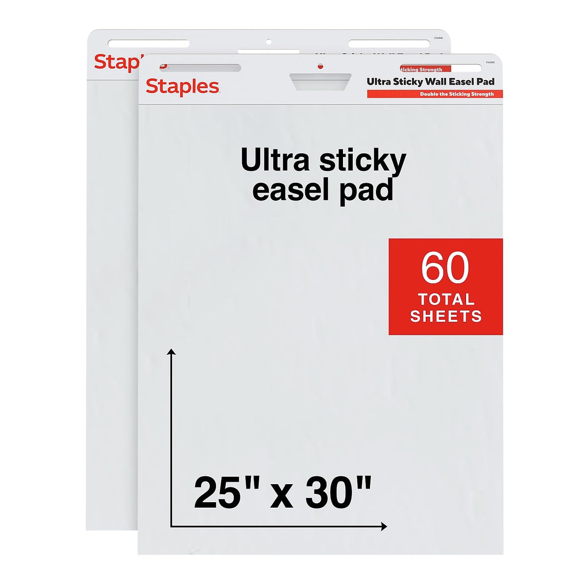 Staples Blank Book, 25'' x 30'', 2 Pack