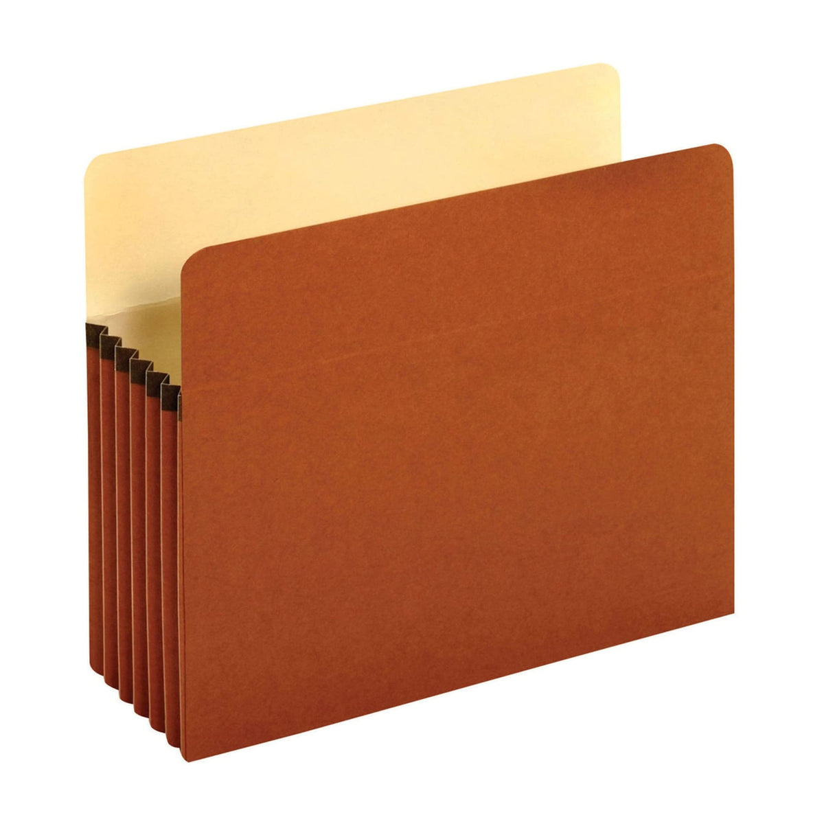 Pendaflex File Folder PFX1534GOX, Letter, 10 Count – view 2