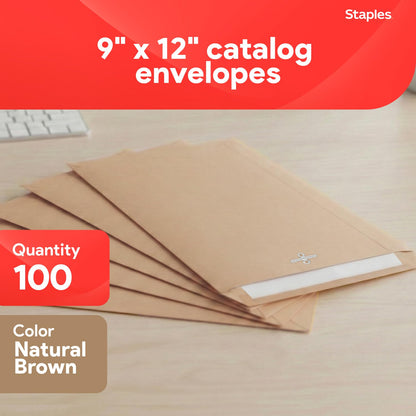 STAPLES Envelope ST19964-CC, 9'' x 12'', 100 Count – view 2