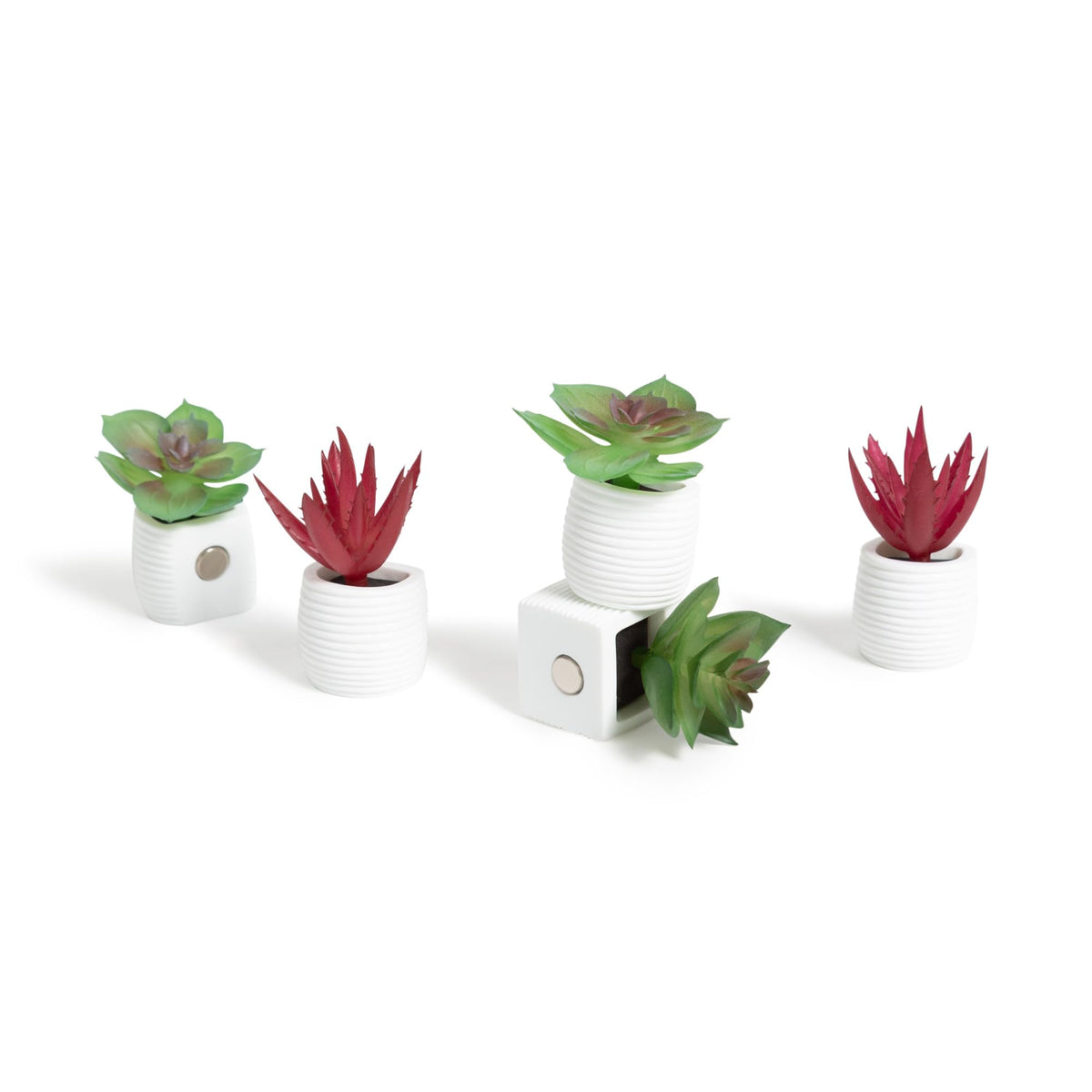 U Brands Decorative Magnet 4943U06-24, Small, 12 Count