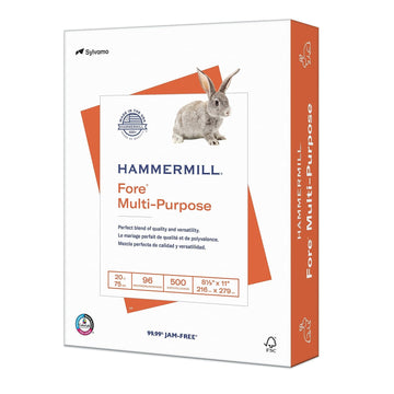 Hammermill Print Copy Paper 103267, 1 Ream (500 Sheets)