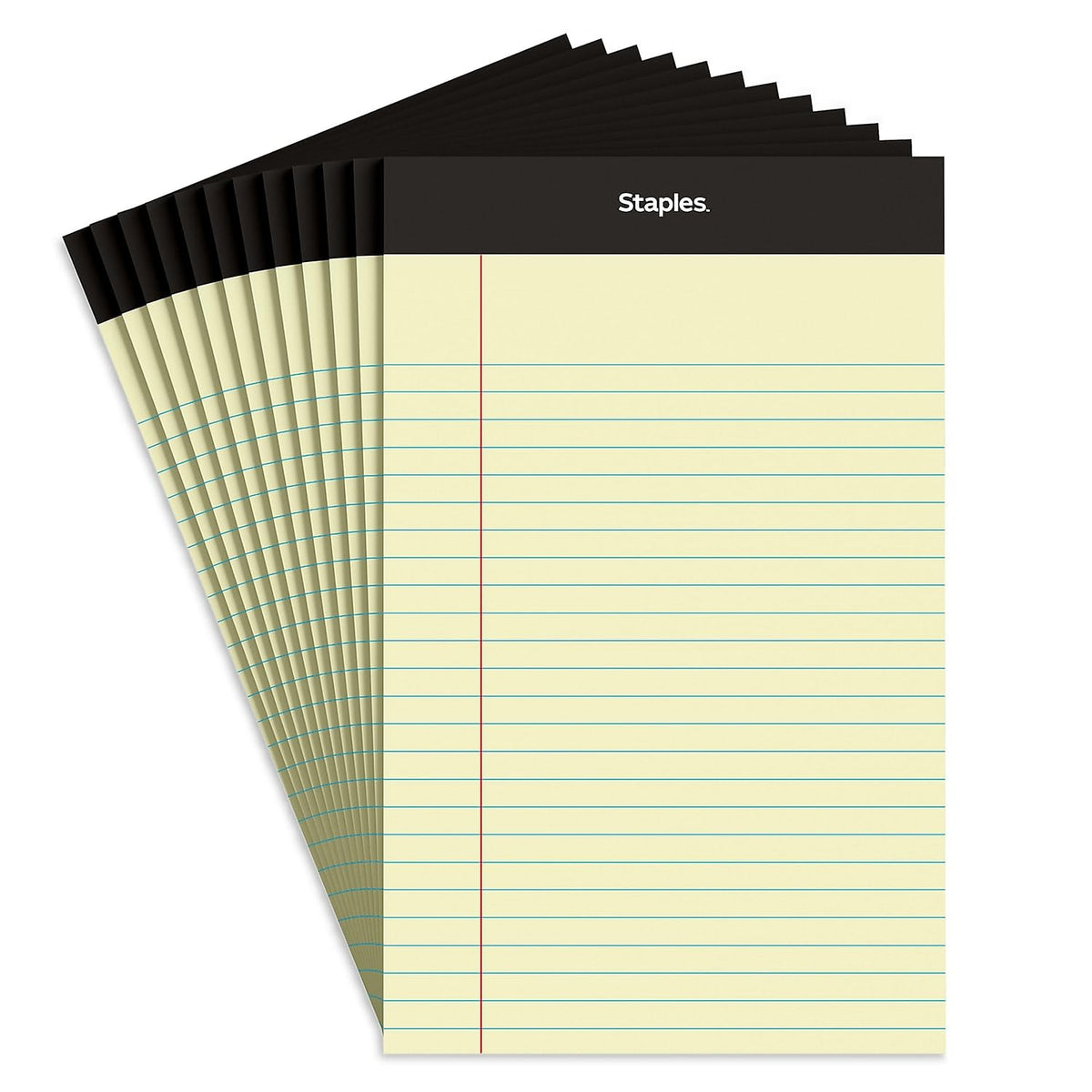 Staples Blank Book 26829, 600 Count
