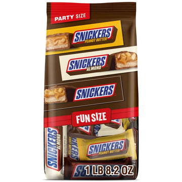 Snickers Chocolate Candy BL-AIL-25, 24.02 Ounce