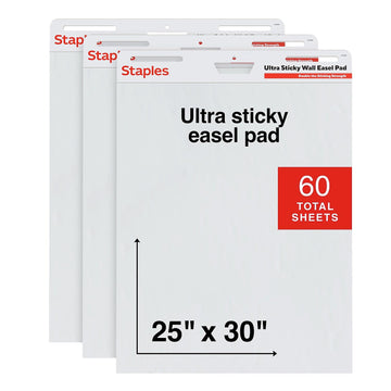 Staples Blank Book, 25'' x 30'', 3 Pack