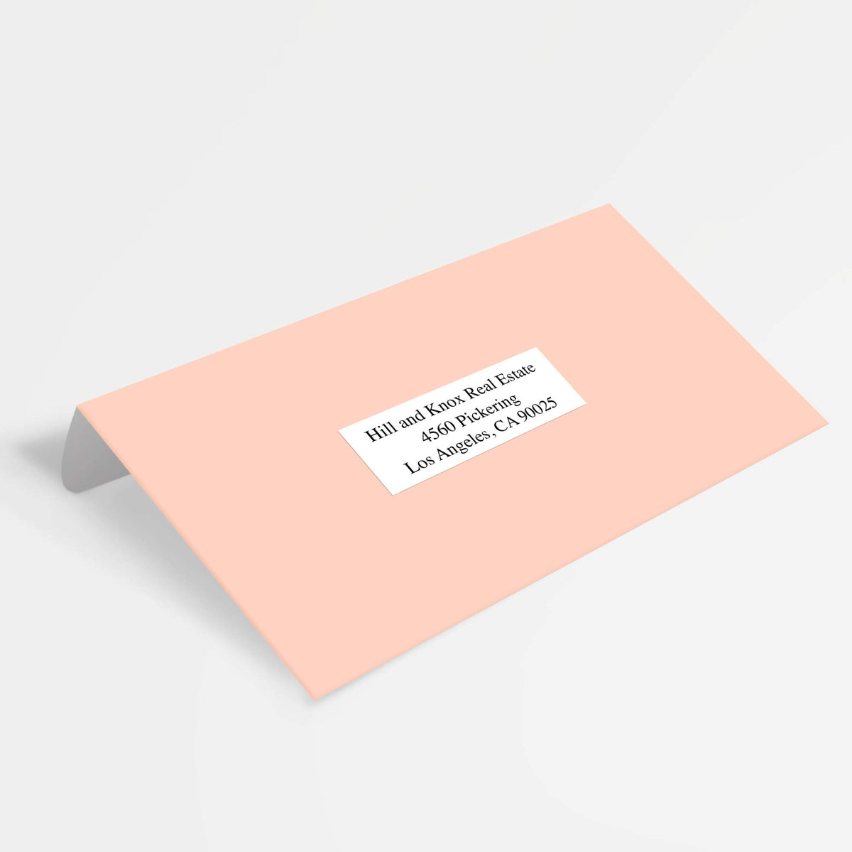 Avery Label 5334, 1" x 2-13/16" – view 2