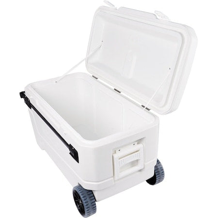 Igloo Sports Equipment 50170 - product photo 1