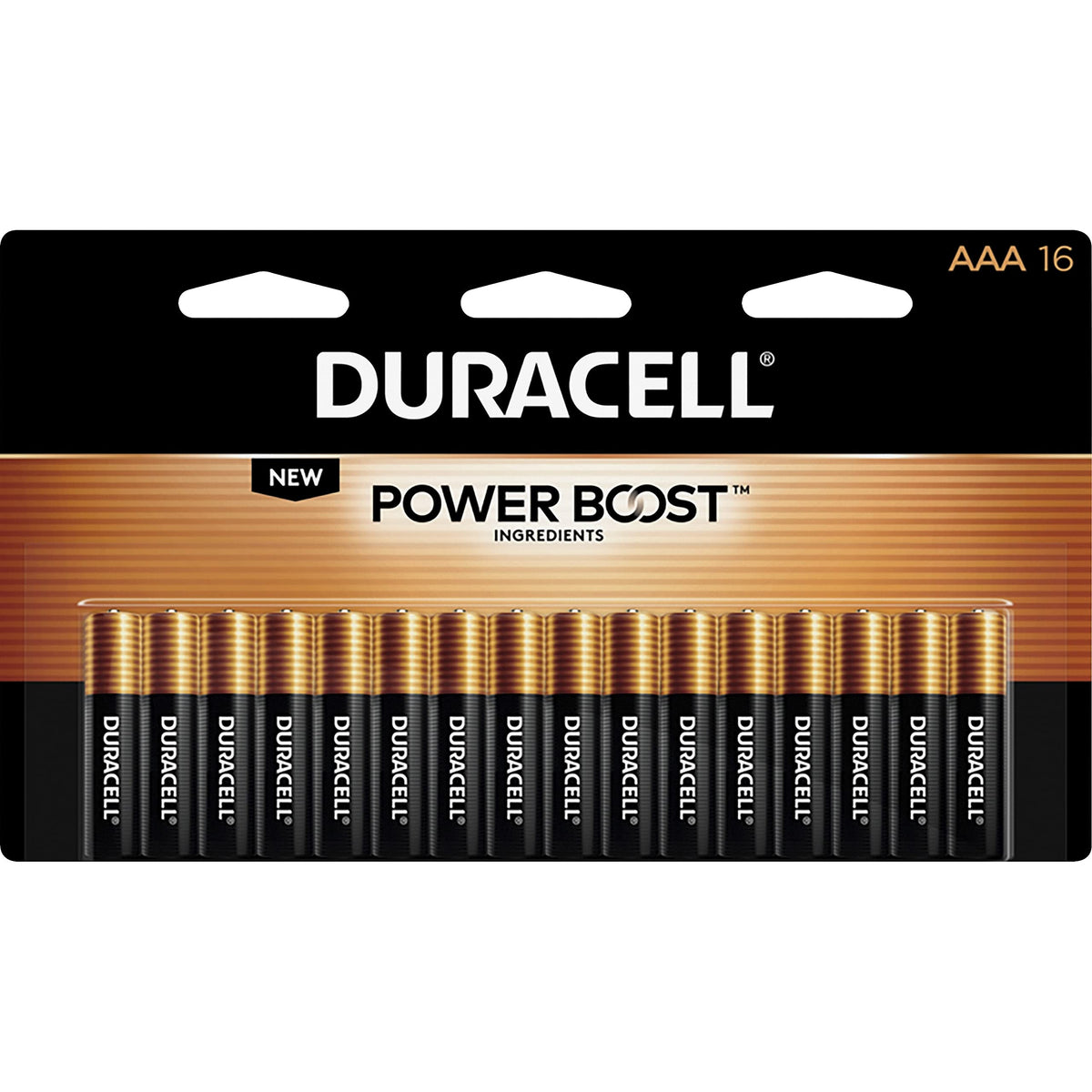 DURACELL Battery DURMN2400B16Z, 16 Count