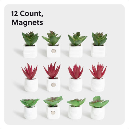 U Brands Decorative Magnet 4943U06-24, Small, 12 Count – view 2