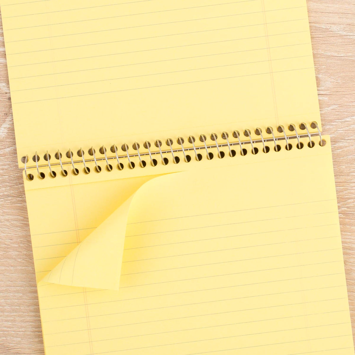 Mead Blank Book MEA59880, Legal Ruled – view 3