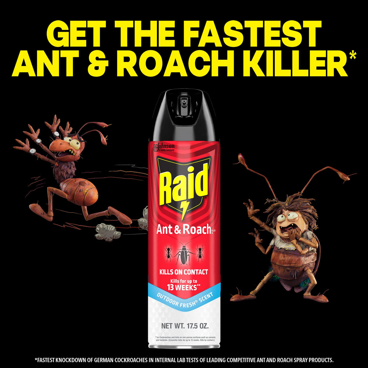 Raid Pesticide 669798p, 17.5 Fl Oz – view 6