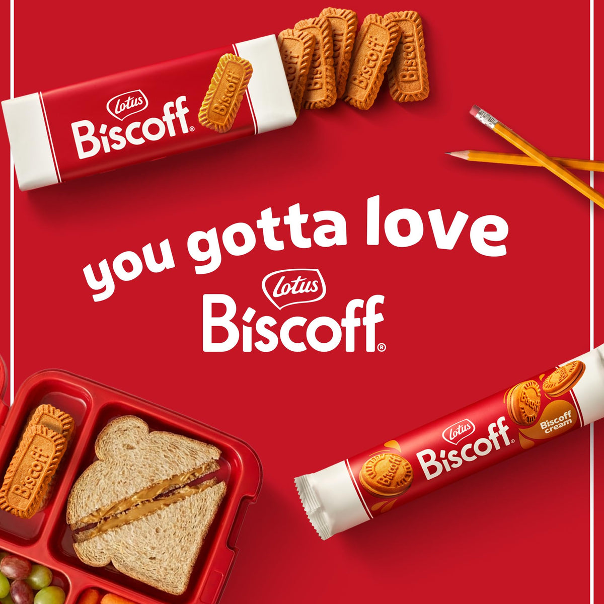 Biscoff Cookie 53613, 0.88 Ounce (Pack of 20) – view 11