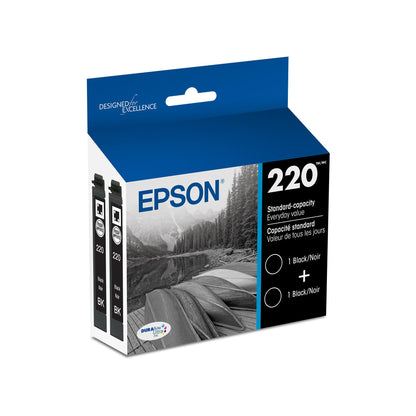 Epson Inkjet Printer Ink T220120-D2, Standard Capacity, 2 Count