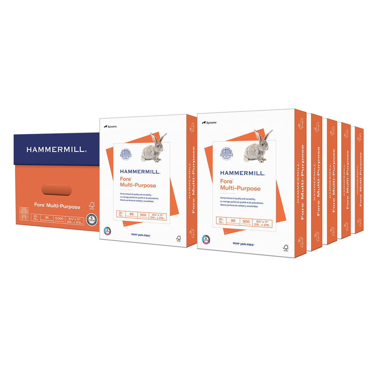 Hammermill Print Copy Paper 103267C, 10 Ream (5,000 Sheets)