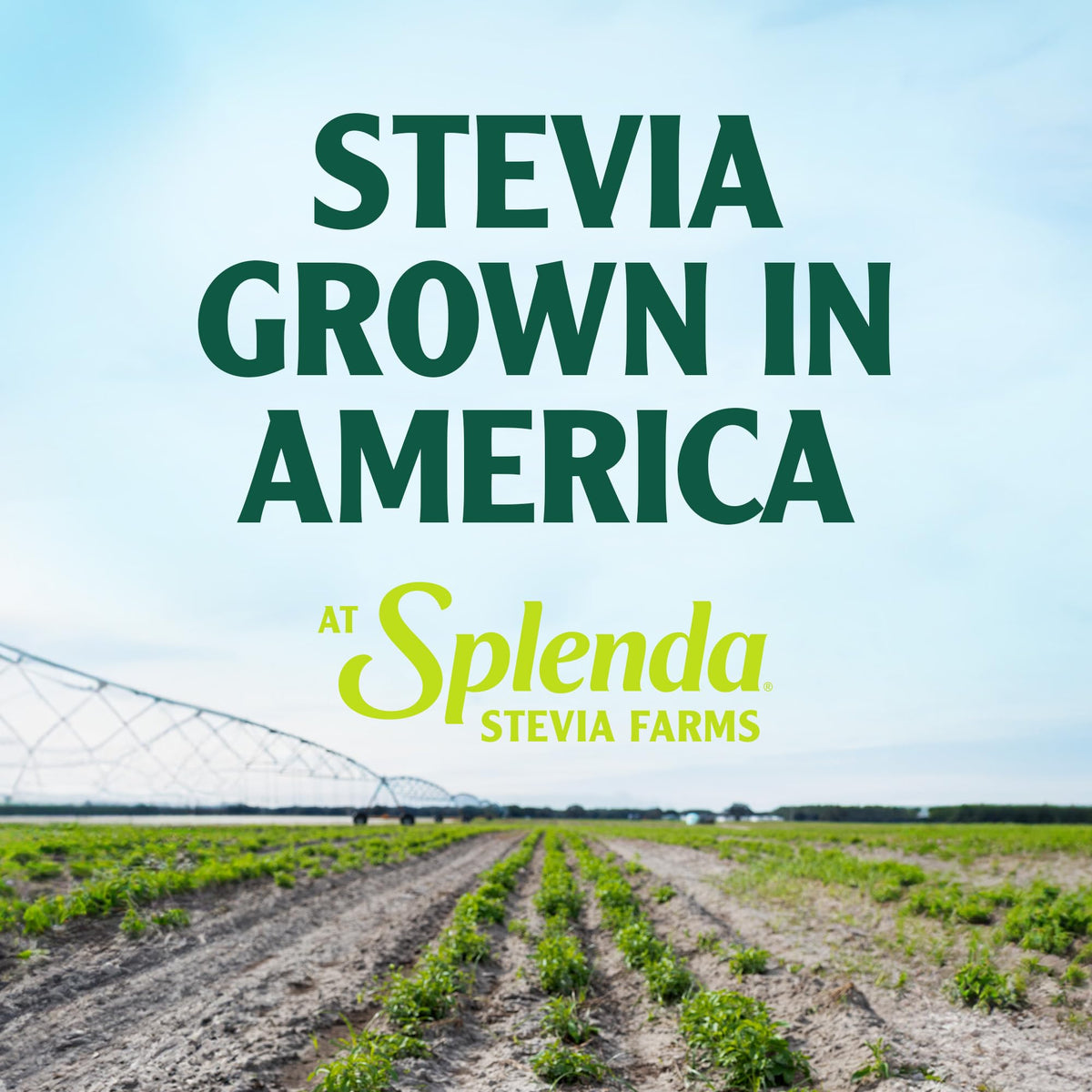SPLENDA Sugar Substitute, 400 Count – view 7