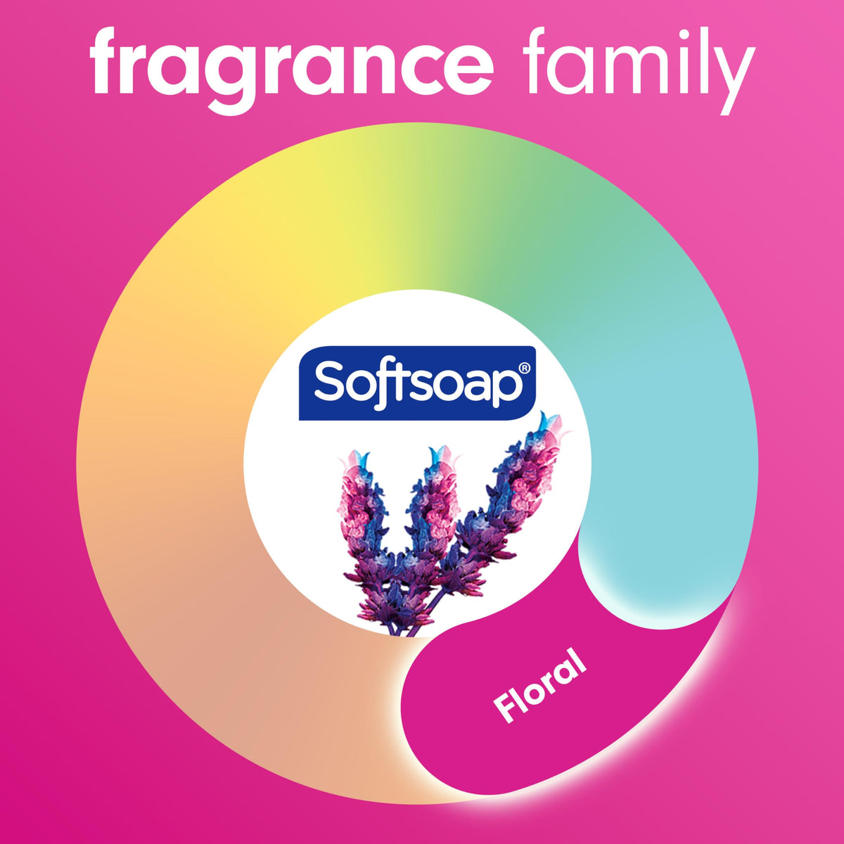 Softsoap Skin Cleaning Agent US07157A, 11.25 Fl Oz (Pack of 6) – view 5