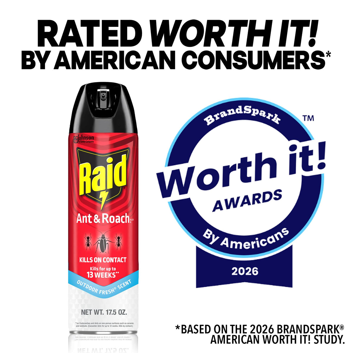 Raid Pesticide 669798p, 17.5 Fl Oz – view 8