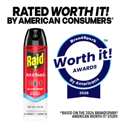 Raid Pesticide 669798p, 17.5 Fl Oz – view 8