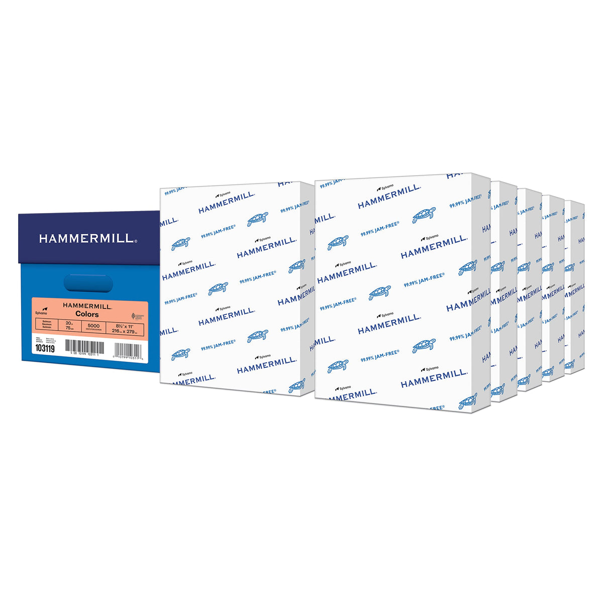Hammermill Print Copy Paper 103119C, 10 Ream | 5000 Sheets