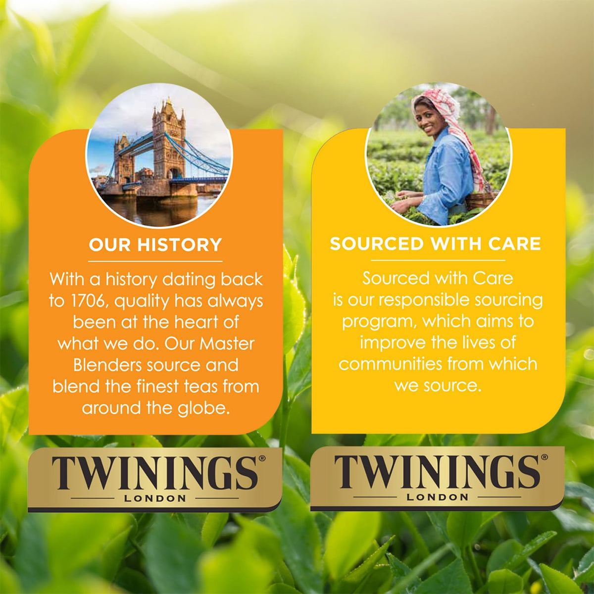 Twinings Tea JOCA-7404, 50 Count – view 7
