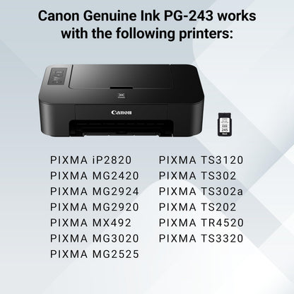 Canon Inkjet Printer Ink PG245, 1 Count – view 2