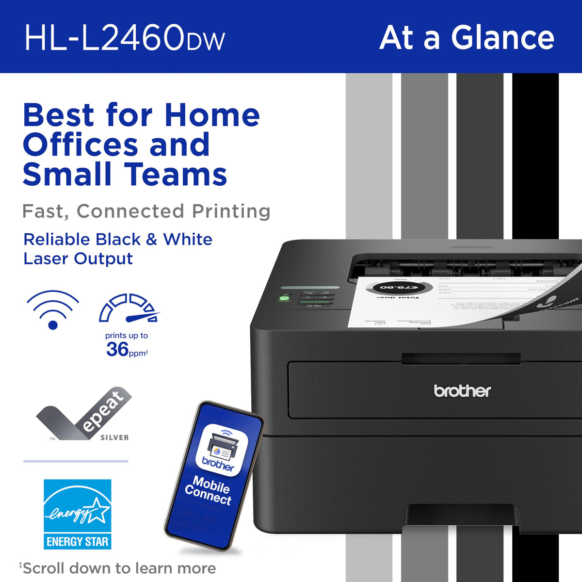 Brother Printer HLL2460DW, Standard – view 2