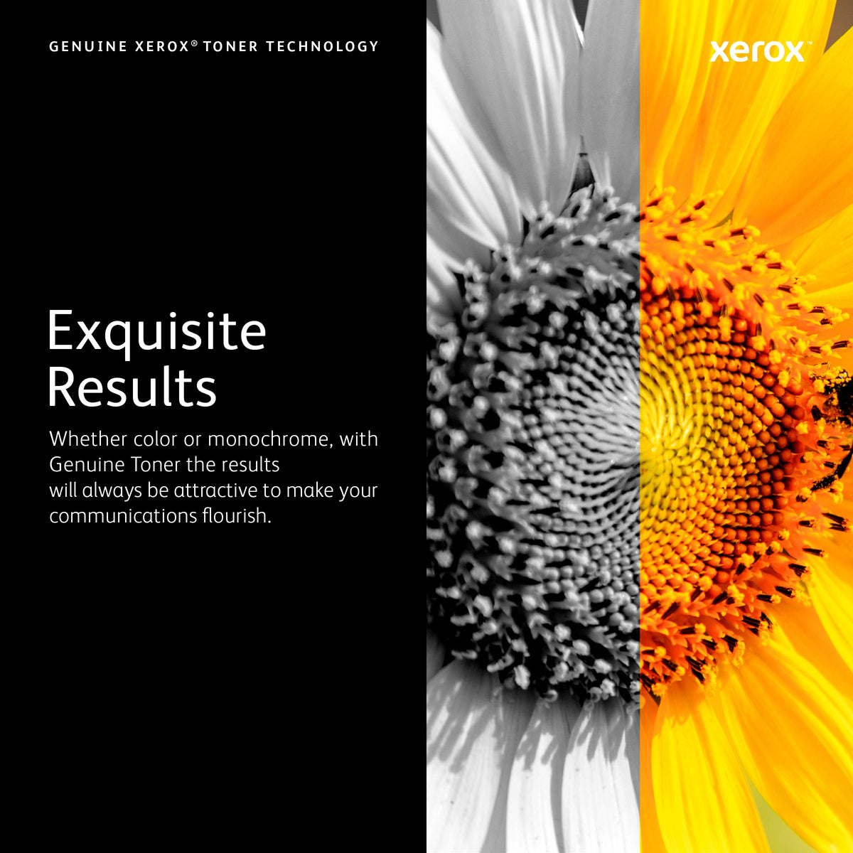 Xerox Laser Printer Toner 006R04391, Information Not Available – view 5