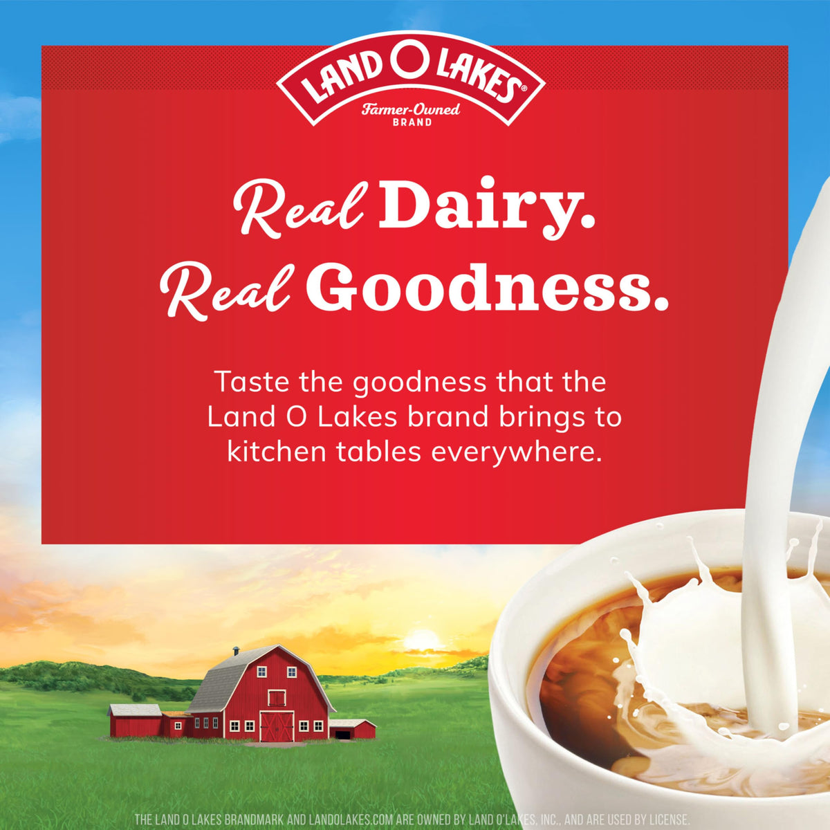 Land O Lakes Dairy Based Cream 9145467, 192 Count – view 3