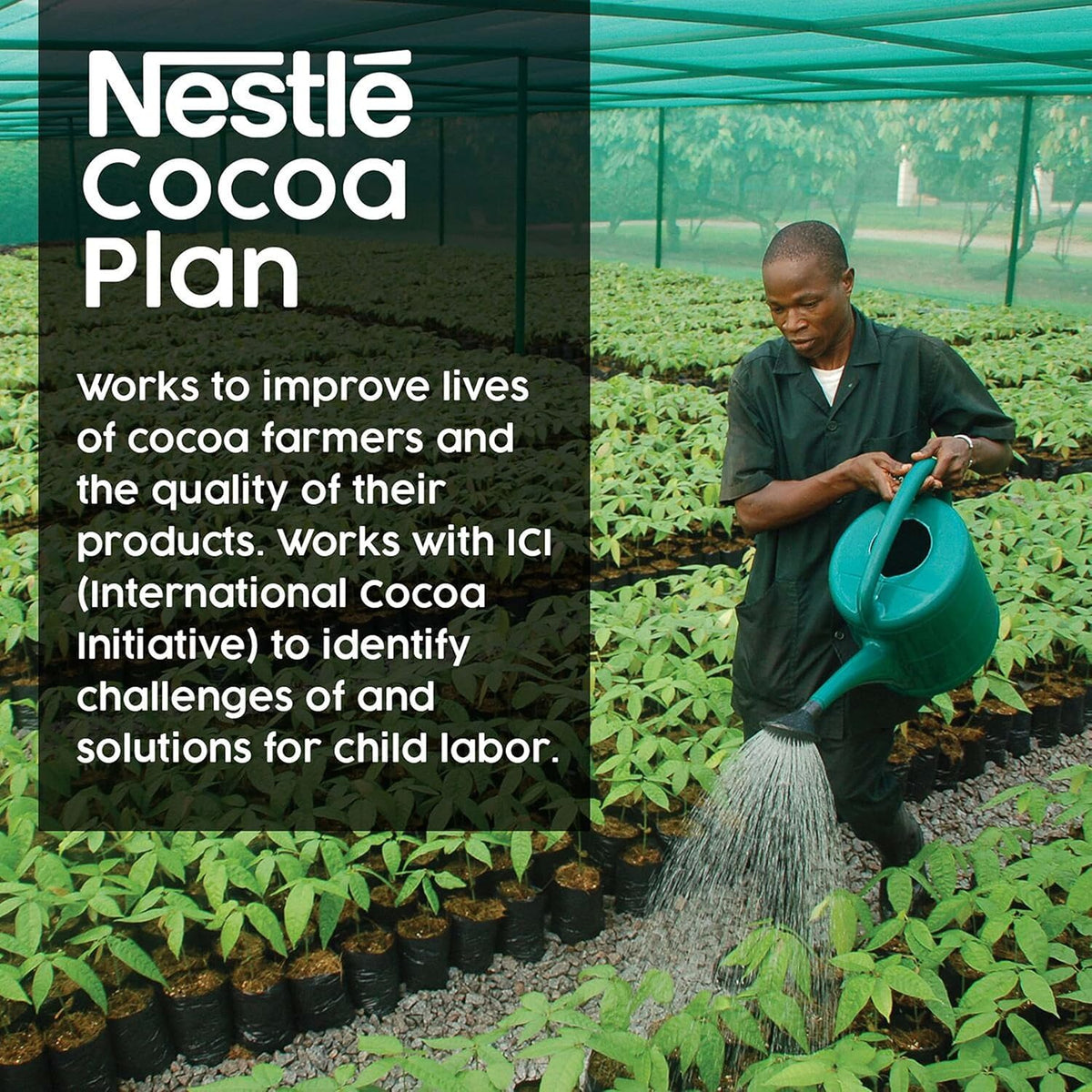 Nestle Hot Cocoa Drink Flavored NES26791, 6 count – view 6