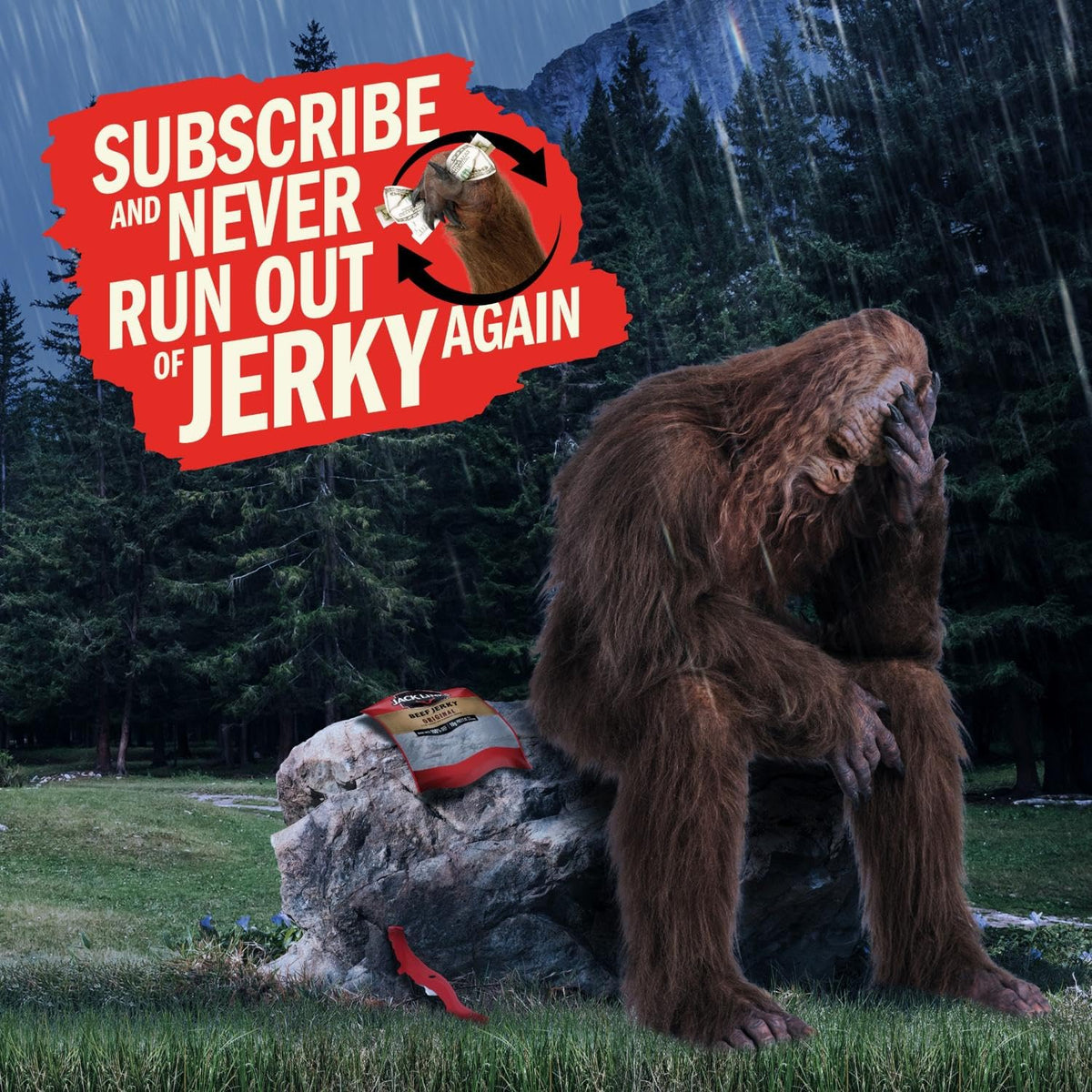 Jack Link's Jerky 10000004984, 0.92 Ounce (Pack of 20) – view 8