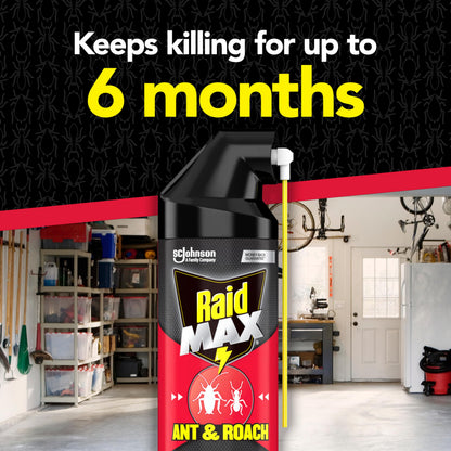 Raid Pesticide 70261, 14.5 Ounce – view 3