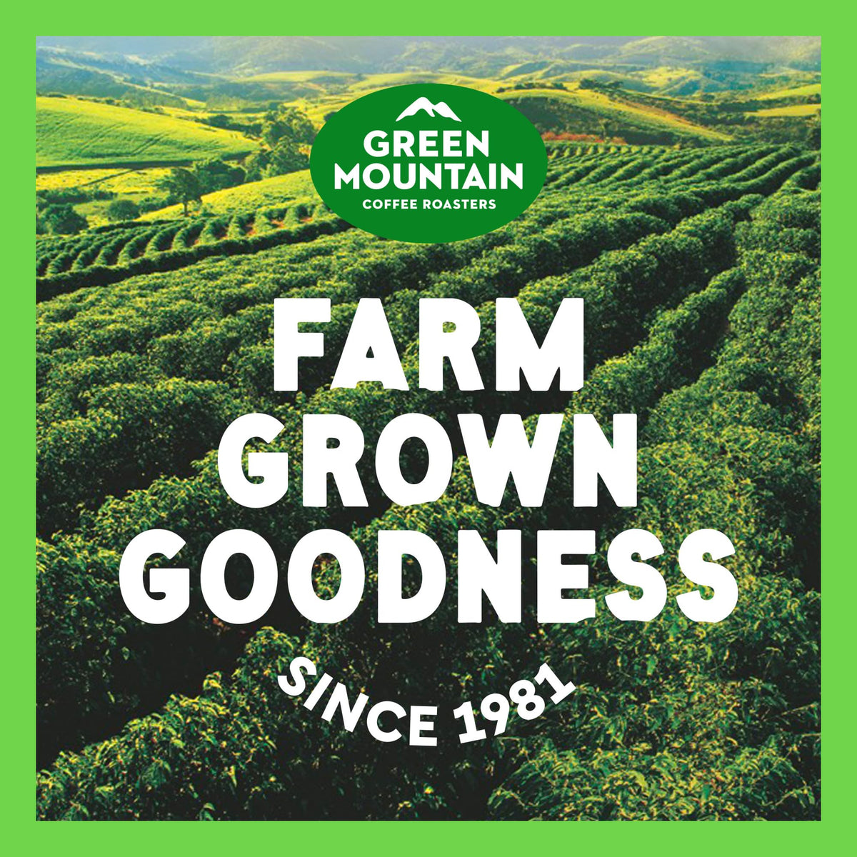 Green Mountain Coffee Roasters Coffee 5000202451, 18 Ounce – view 4