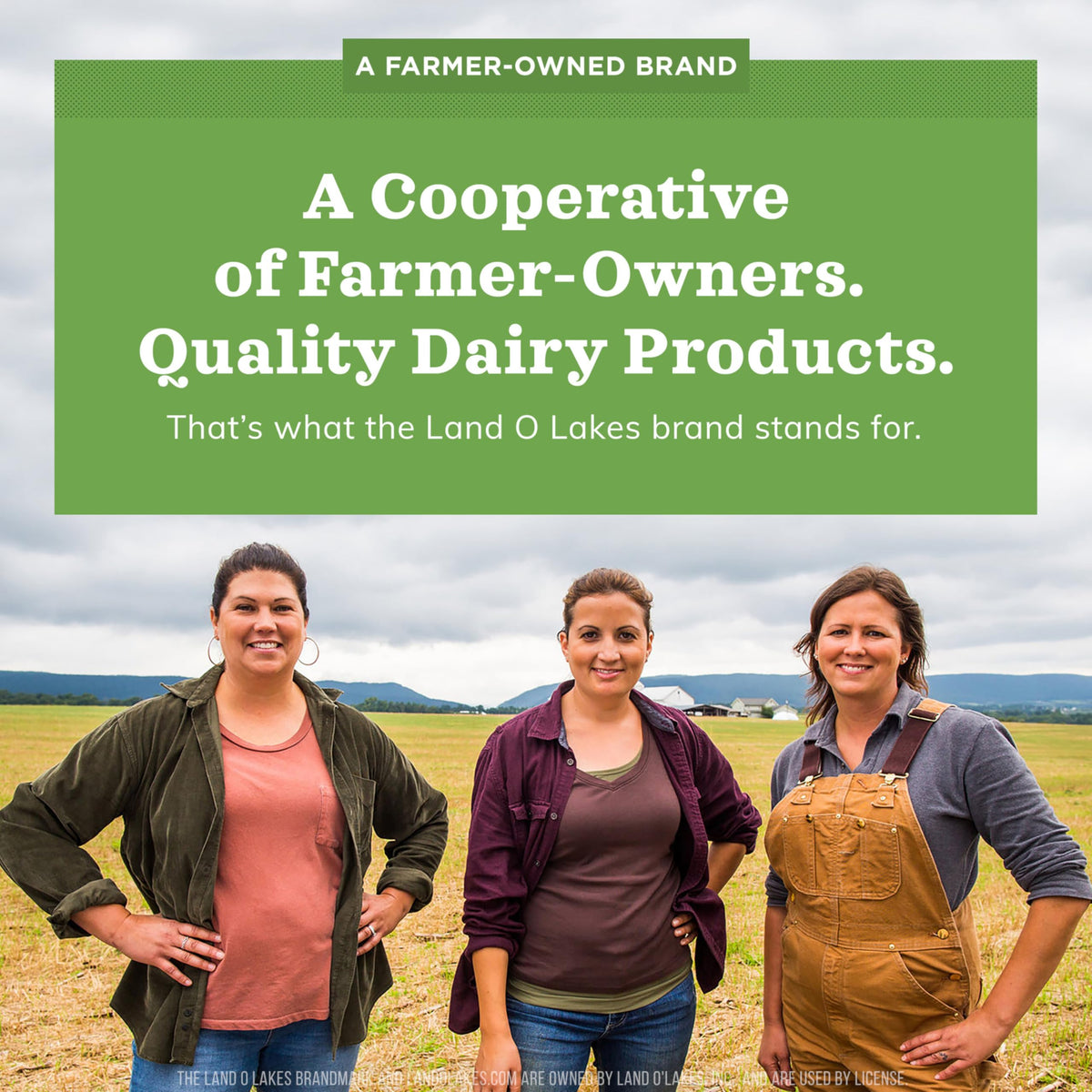 Land O Lakes Dairy Based Cream 9145467, 192 Count – view 5
