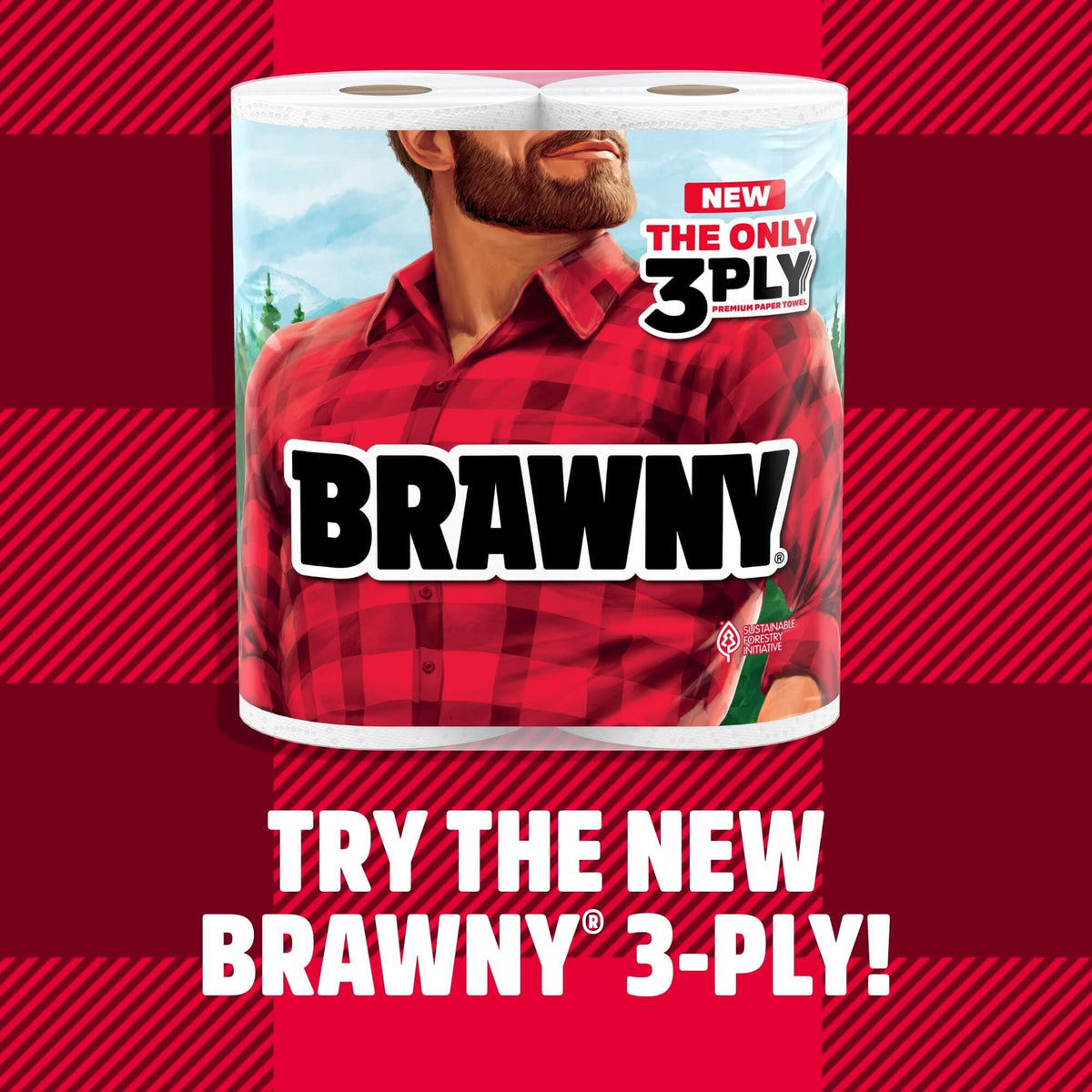 Brawny Paper Towel 445025/443665, 16 Count, 8 Count – view 2